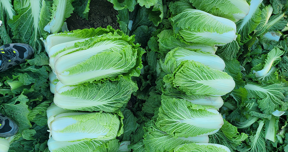 upload/20240813140301.jpg
